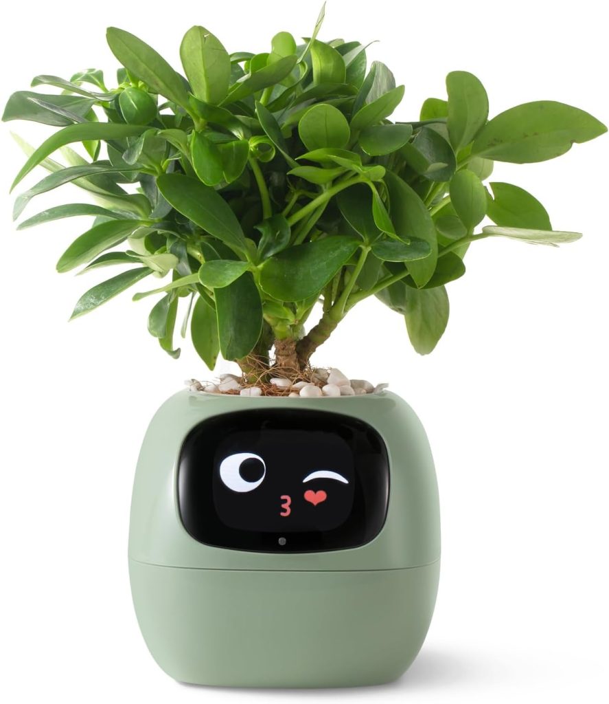 smart plant pot
